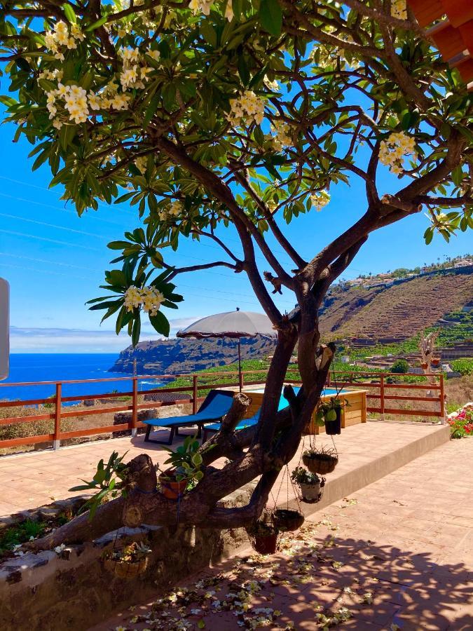 Rincon Del Mar , Espacio Natural La Orotava Ngoại thất bức ảnh